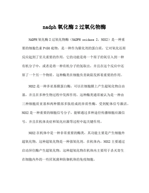 nadph氧化酶2过氧化物酶