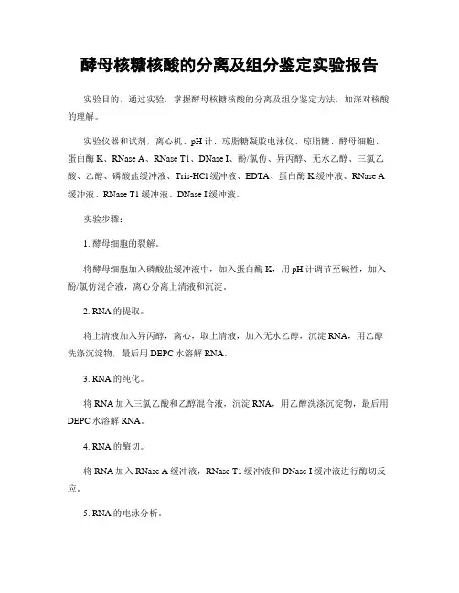 酵母核糖核酸的分离及组分鉴定实验报告