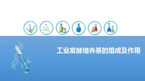 发酵工程制药—工业发酵培养基的