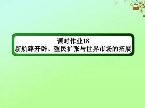 2021届高考历史大一轮复习课时18新航路开辟殖民扩张与世界市场的拓展作业课件人民版