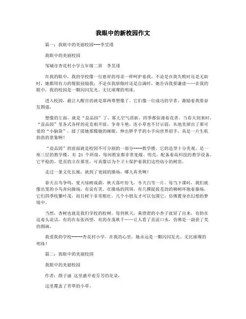 我眼中的新校园作文