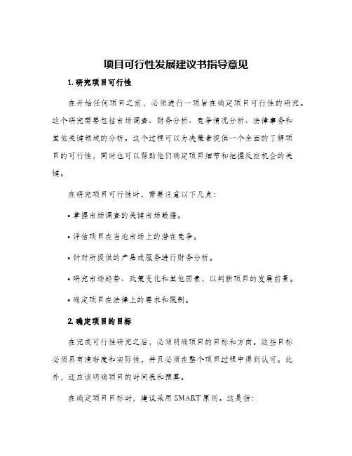 项目可行性发展建议书指导意见