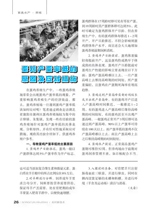 蛋鸡产蛋率低的原因及应对措施
