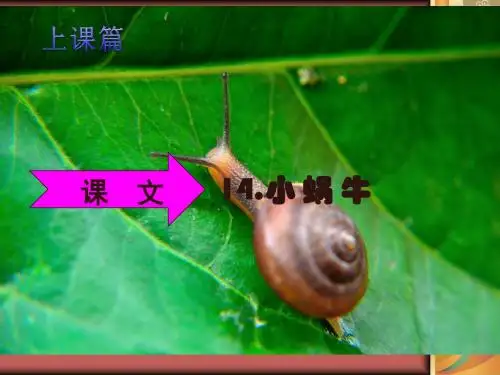 一年级语文下册《14.小蜗牛》