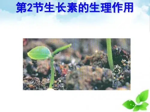 生长素的生理作用ppt课件(自制)