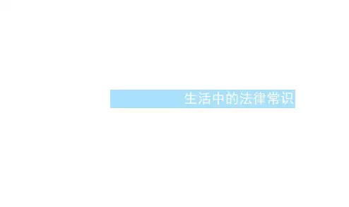 (浙江专用)高考政治大一轮新优化复习42民事权利、义务及人身权课件新人教版选修5