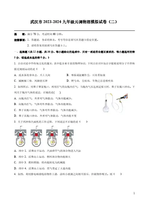 武汉市2023-2024九年级元调物理模拟试卷(二)