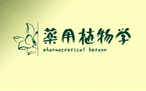 植物的器官-茎