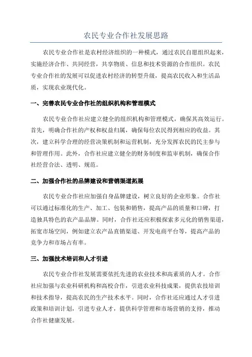 农民专业合作社发展思路