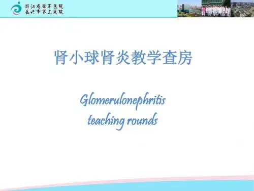 慢性肾小球肾炎护理查房PPT课件