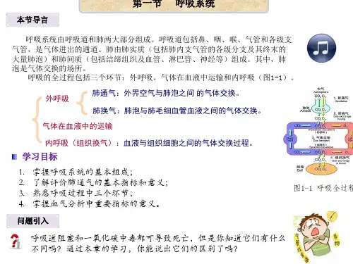 人体系统(基础医学概论课件)