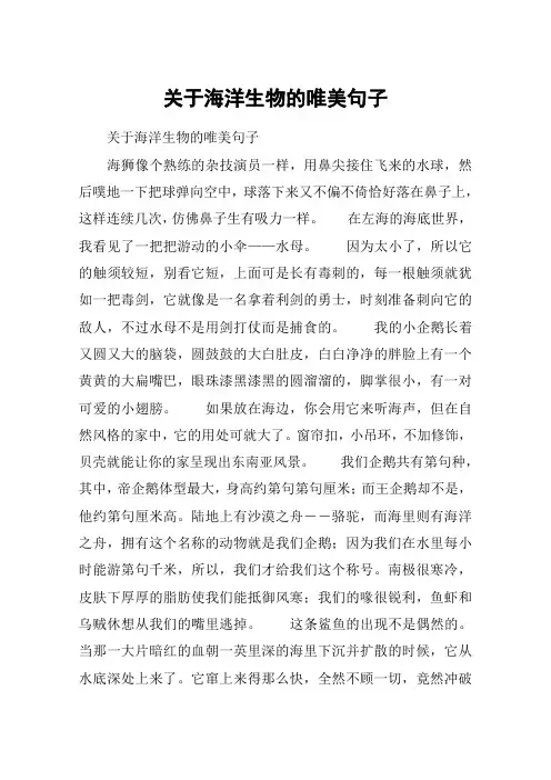 关于海洋生物的唯美句子