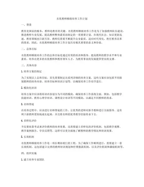 名优教师梯级培养工作计划