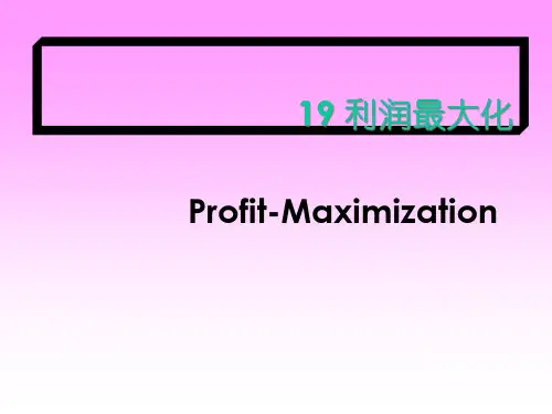 利润最大化详解(ppt 99页)