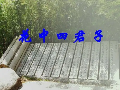 梅兰竹菊