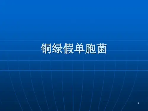 铜绿假单胞菌PPT优秀课件