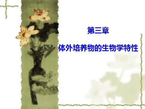 体外培养物的生物学特性
