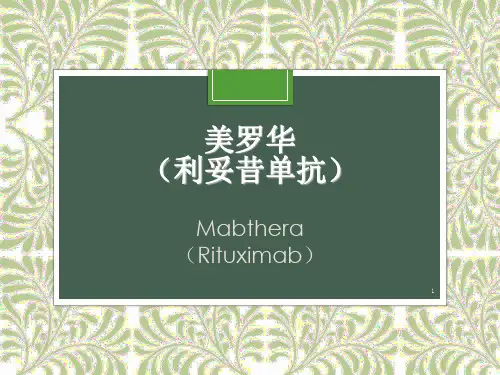 (完整)美罗华利妥昔单抗精品PPT资料精品PPT资料