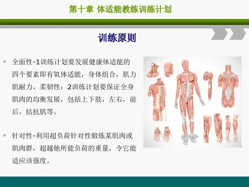 健身教练培训课程第十章《体适能教练训练计划》