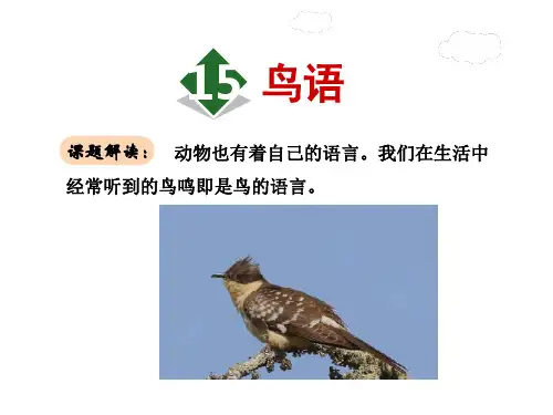 四年级下册语文课件-15.鸟语｜苏教版 (共40张PPT)