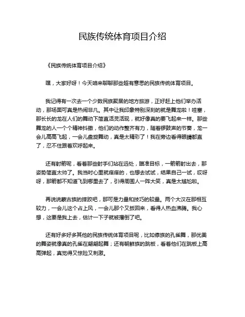 民族传统体育项目介绍