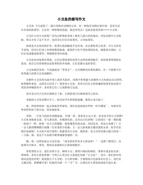 小丑鱼的描写作文