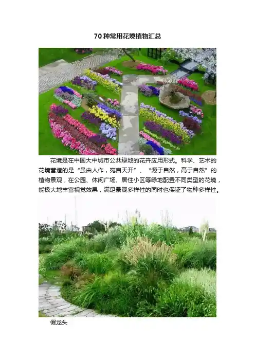 70种常用花境植物汇总