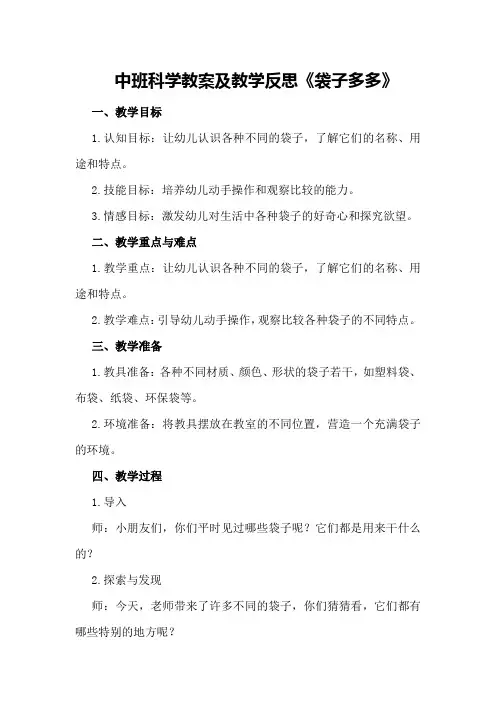 中班科学教案及教学反思《袋子多多》