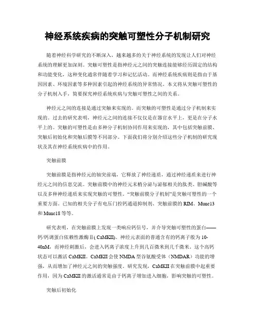 神经系统疾病的突触可塑性分子机制研究