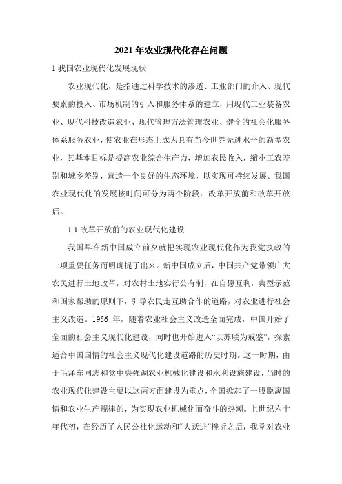 2021年农业现代化存在问题
