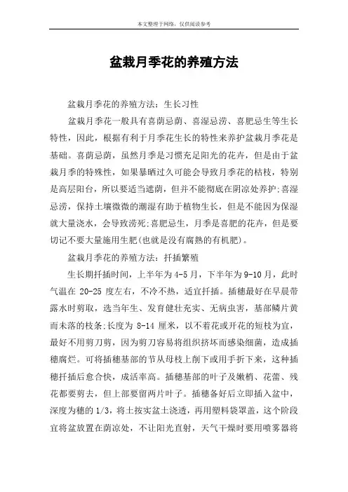 盆栽月季花的养殖方法