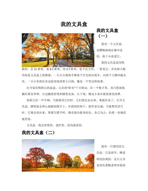 我的文具盒(共10篇)