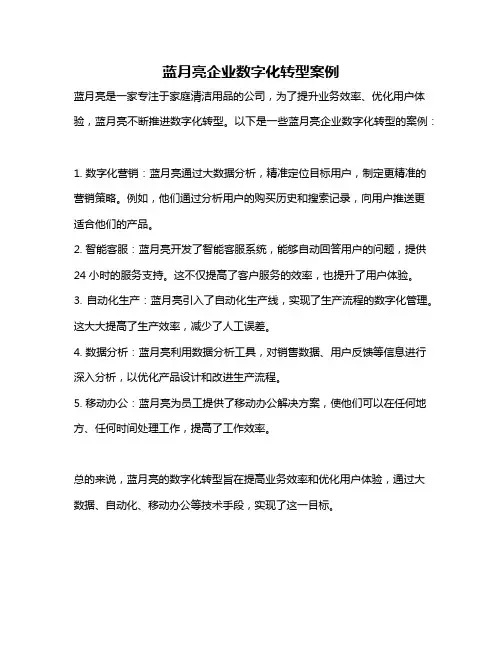 蓝月亮企业数字化转型案例