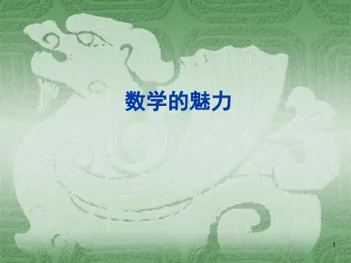 数学的魅力