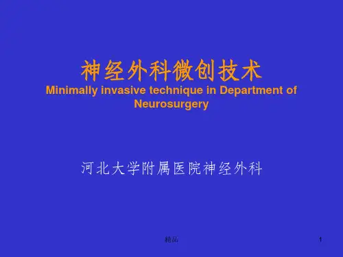 神经外科微创技术ppt课件