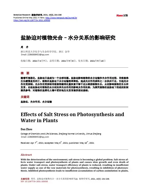 盐胁迫对植物光合–水分关系的影响研究