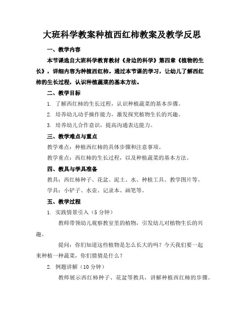 大班科学教案种植西红柿教案及教学反思