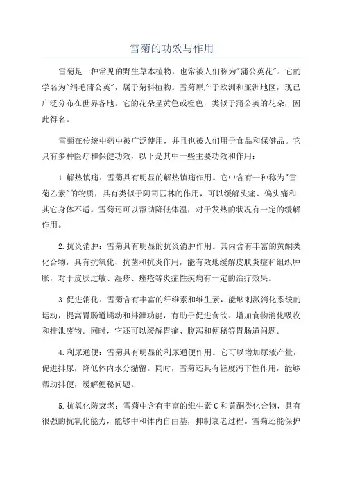 雪菊的功效与作用