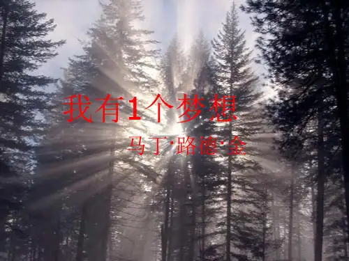 《我有一个梦想》ppt课件