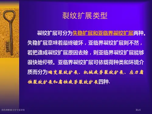 损伤和断裂力学专家讲座