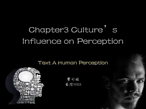 Culture’s Influence On Perception 跨文化交际英语ppt
