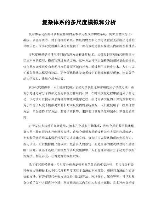 复杂体系的多尺度模拟和分析