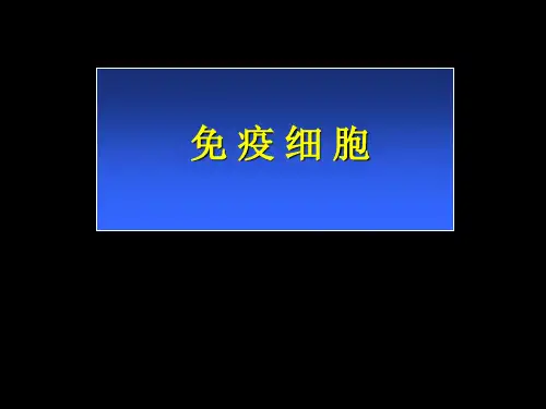 免疫细胞ppt