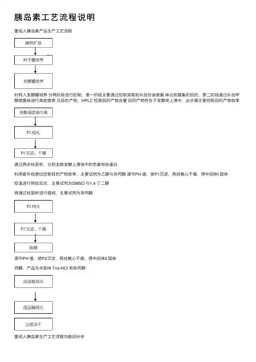 胰岛素工艺流程说明