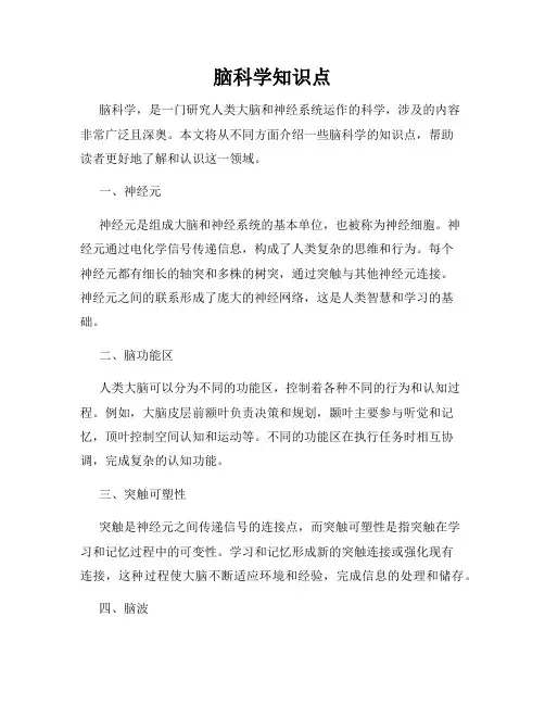 脑科学知识点