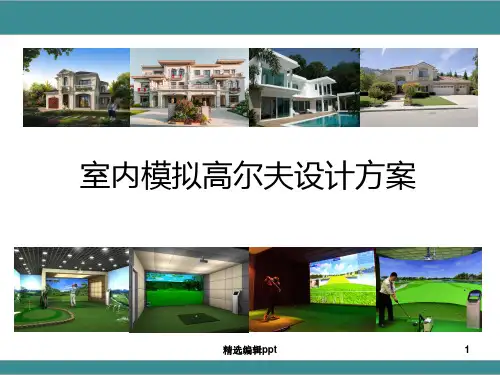 室内仿真高尔夫设计方案ppt课件