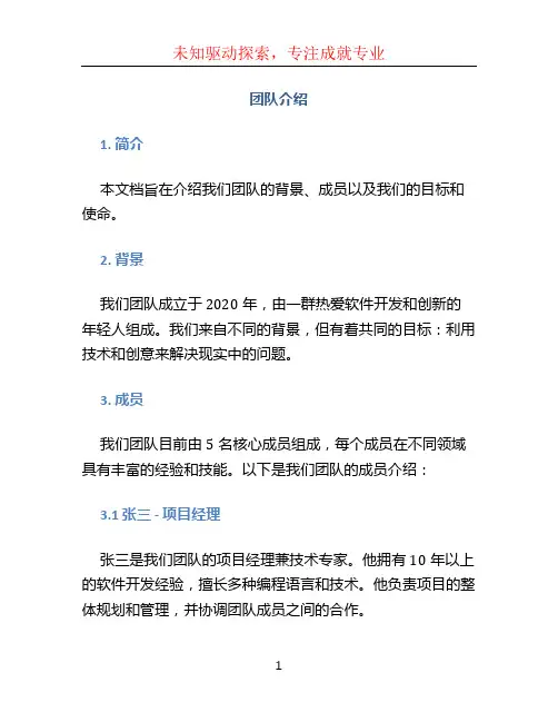 团队介绍文档