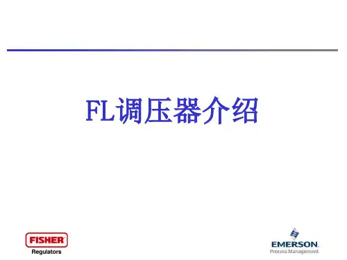 塔塔里尼调压器FLBM5介绍1