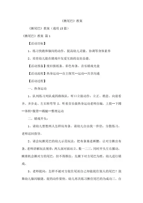 《揪尾巴》教案
