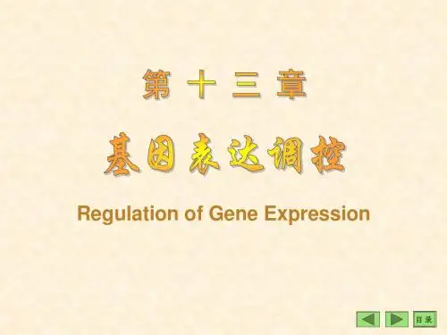 第14章基因表达调控 PPT课件